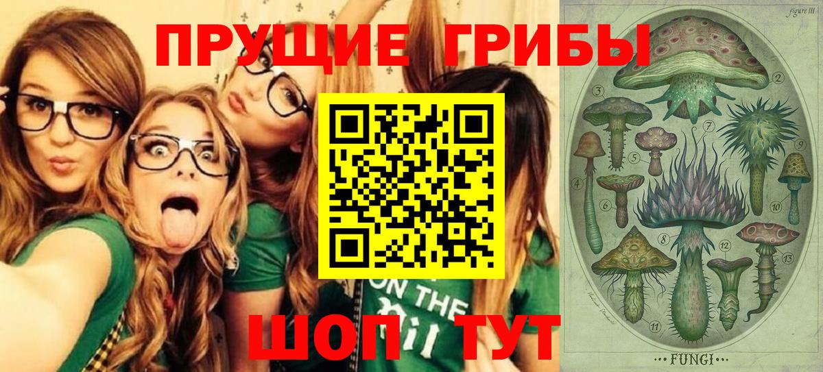 Богородск  Псилоцибиновые грибы Psilocybine cubensis  Вход с VPN 